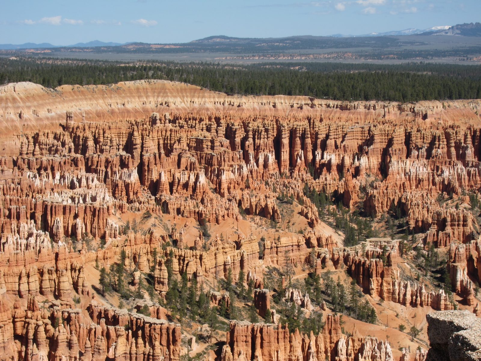 First view of amphitheatre at Bryce